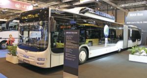 ყვითელ ავტობუსებს გერმანული ავტობუსები ჩაანაცვლებს