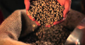 კახეთის გზატკეცილზე ყავის გადამამუშავებელ საწარმოს მშენებლობაში 11 277 000 ლარის ინვესტიცია ჩაიდება