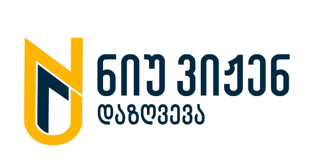 ნიუ ვიჟენ დაზღვევა