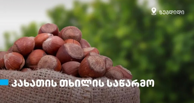 თხილის საწარმო