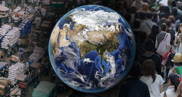 პოპულაცია